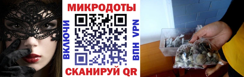купить наркоту  Ковдор  Псилоцибиновые грибы мицелий 